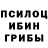 Псилоцибиновые грибы мицелий HN YS