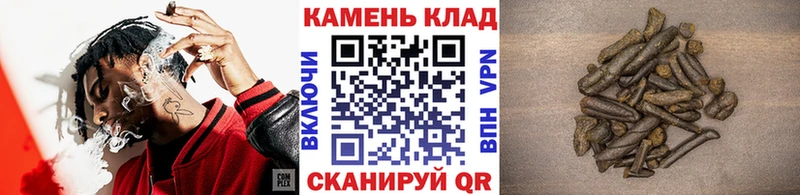 наркота  darknet клад  Гашиш Premium  Ясногорск 