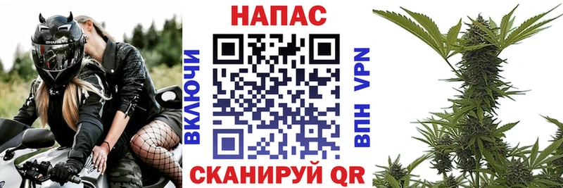 Конопля конопля  Ясногорск 